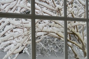 Winter's last blast ... hopefully!