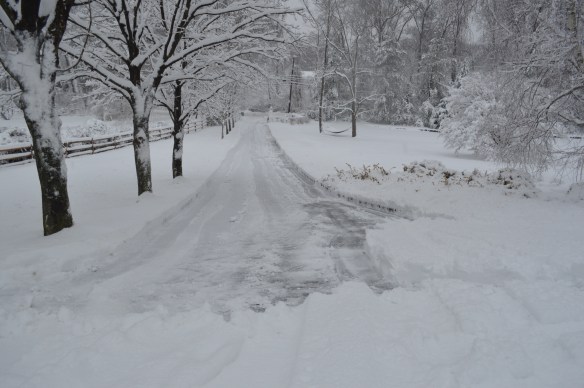 I did it! My first attempt at snow blowing!